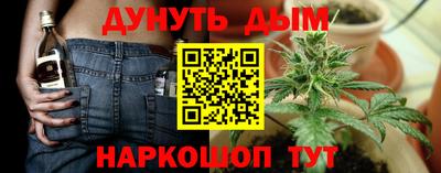 шишки Нальчик