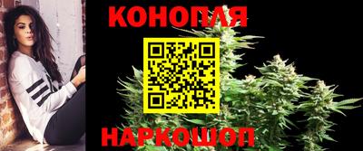 шишки Нальчик