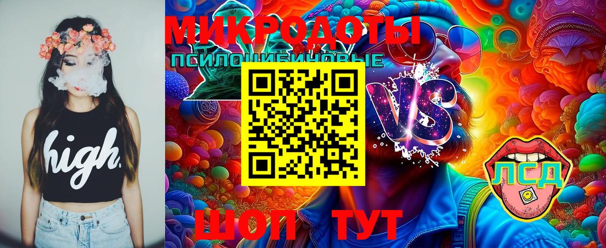 Галлюциногенные грибы Cubensis Ставрополь