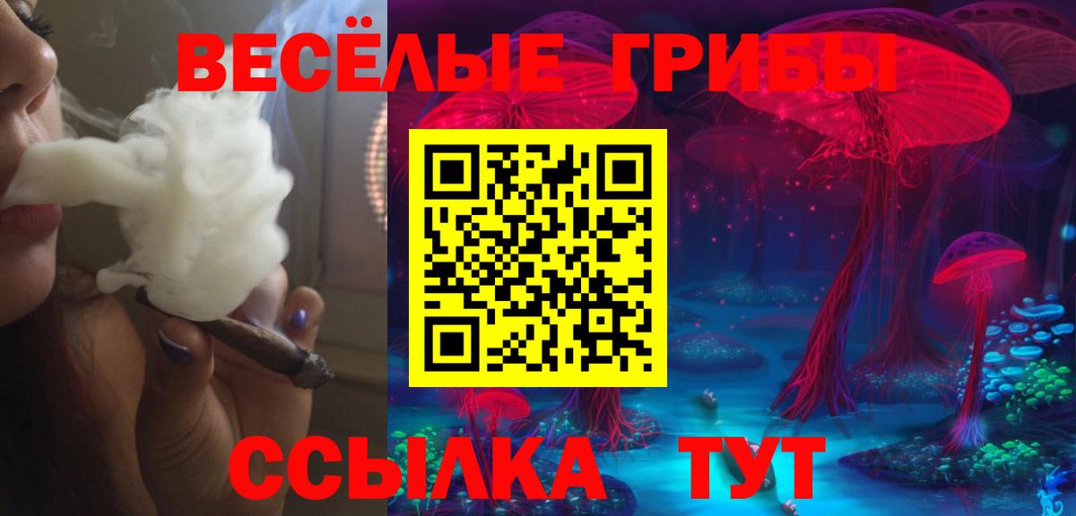 Псилоцибиновые грибы мицелий  Вход с VPN  Ставрополь 